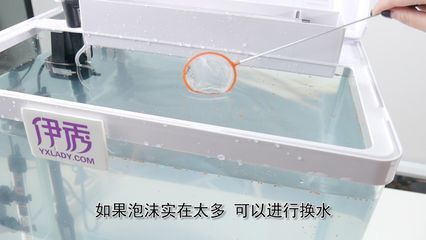 魚缸需要徹底換水嗎為什么（生態(tài)魚缸換水需要徹底換水嗎，魚缸需要徹底換水嗎）