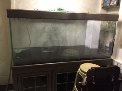堯權魚缸：堯權魚缸促銷活動時間匯總堯權魚缸促銷活動時間