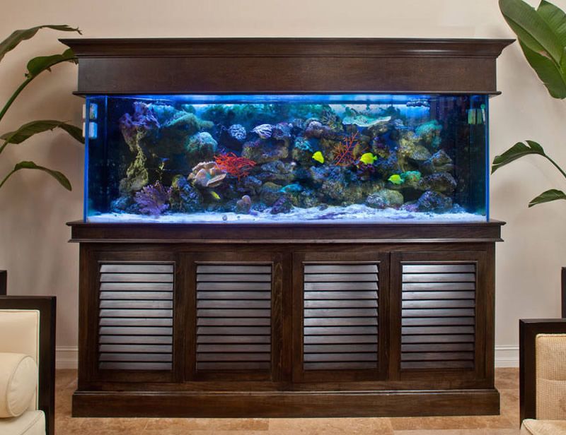 水族箱品牌排行榜：于水族器材品牌數(shù)據(jù)研究部門排序不分先后得出品牌榜單