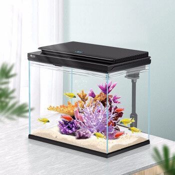 魚缸過濾器上不去水怎么辦（過濾器濾芯堵塞如何清洗魚缸水泵故障常見原因）