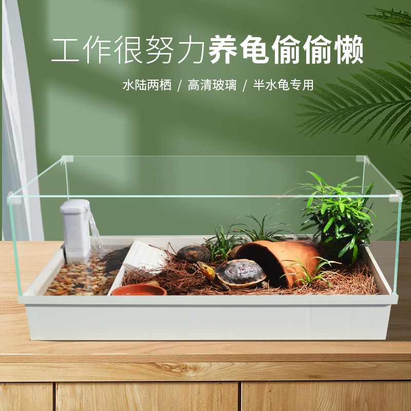 海洋生態(tài)魚缸選擇生態(tài)魚缸的配置和維護技巧水草缸的配置：如何選擇海洋生態(tài)魚缸 海洋生態(tài)魚缸選擇生態(tài)魚缸的配置和維護技巧水草缸的配置：如何選擇海洋生態(tài)魚缸 魚缸百科 第2張