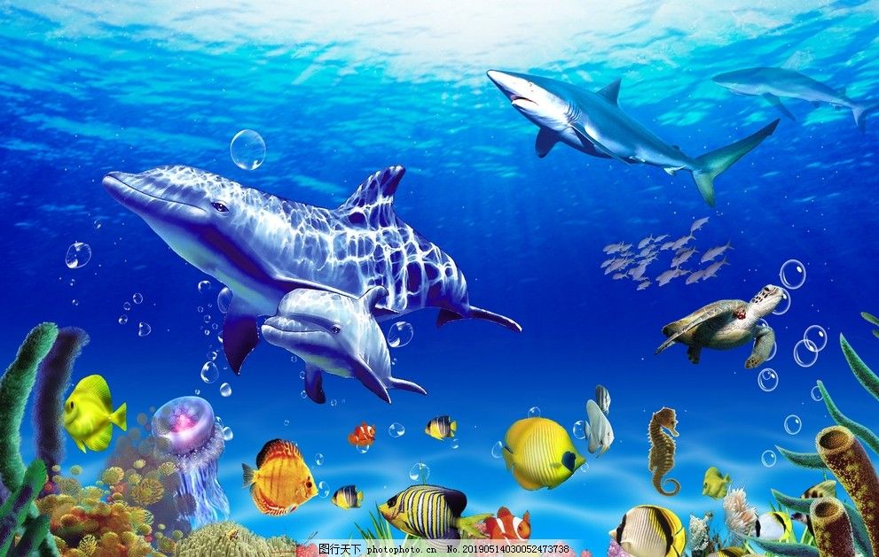 魚缸背景圖片大全超清 原圖（超清魚缸背景圖片大全）