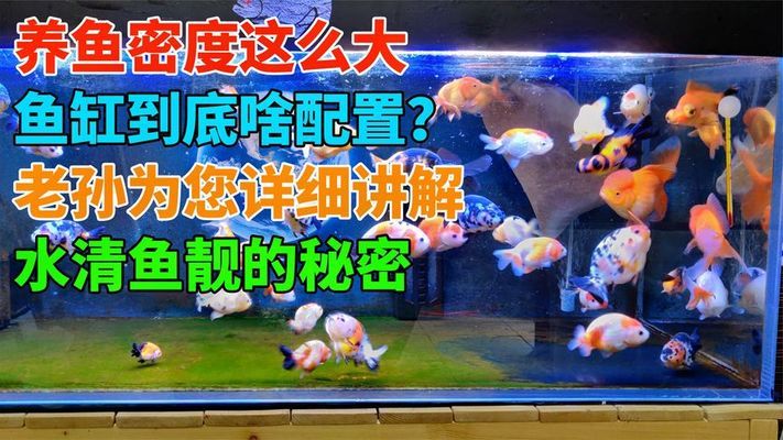 信陽市浉河區大漢花卉水族館（信陽大型花卉市場）