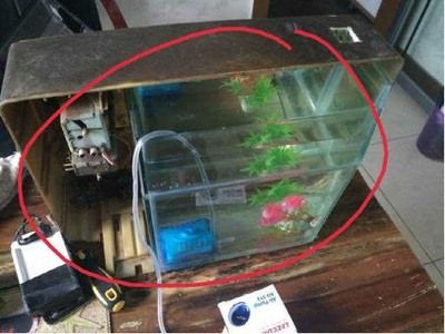 魚缸過濾器怎樣安裝老式的（老式魚缸過濾器怎樣安裝老式魚缸過濾器安裝方法）