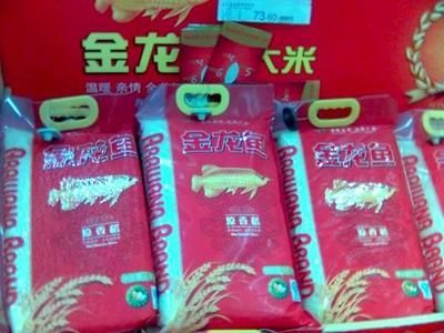 金龍魚品相怎么看真假
