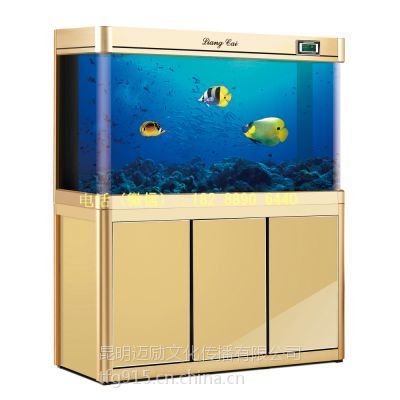 亮彩水族魚缸怎么樣