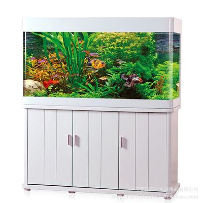 亮彩水族魚缸怎么樣