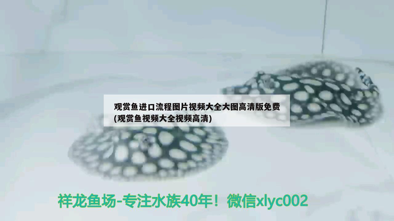 南充市開發區馨居水族體驗店 全國水族館企業名錄 第2張 南充市開發區馨居水族體驗店 南充市開發區馨居水族體驗店 全國水族館企業名錄 第2張