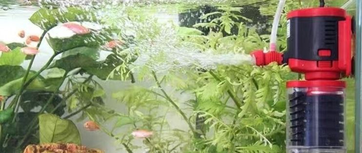 森森魚(yú)缸過(guò)濾增氧泵怎么使用：如何選擇適合魚(yú)缸的過(guò)濾增氧泵