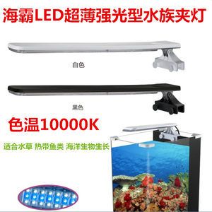 西安秦海寵物用品有限公司海霸魚缸養(yǎng)護(hù)與維護(hù)指南養(yǎng)護(hù)指南：海霸魚缸價格怎么樣
