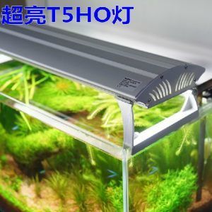西安秦海寵物用品有限公司海霸魚缸養(yǎng)護(hù)與維護(hù)指南養(yǎng)護(hù)指南：海霸魚缸價格怎么樣