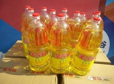 金龍魚3.68升是多少錢（金龍魚上市價格區間分析） 金龍魚3.68升是多少錢（金龍魚上市價格區間分析） 龍魚百科 第3張