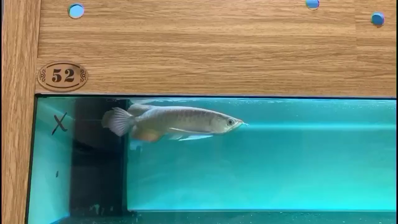 吃完飯來店里巡視一