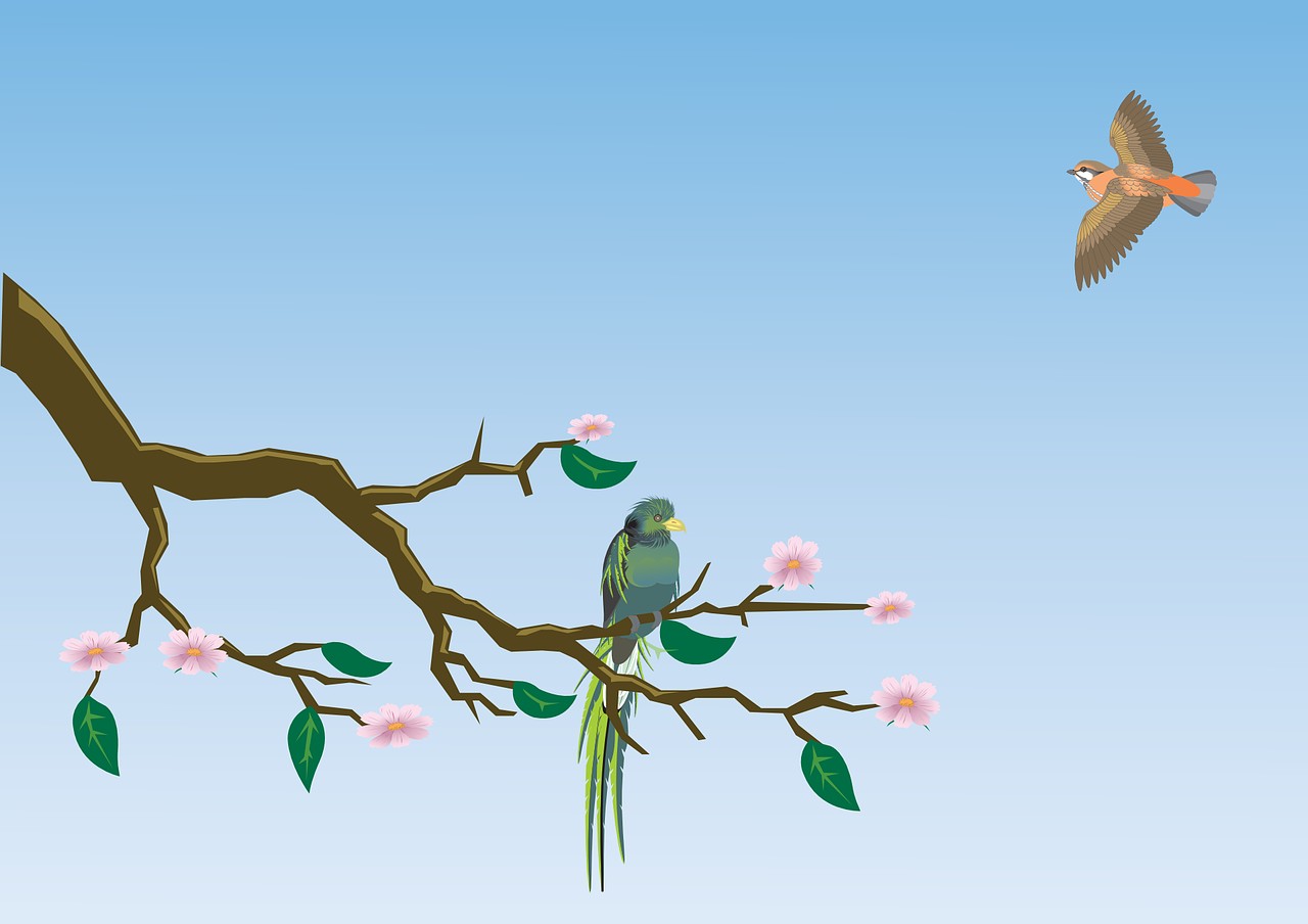 浙江鳳起花鳥(niǎo)城錦川水族館（浙江鳳起花鳥(niǎo)城(鳳起東路)）