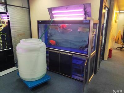 南宮市七彩水族館（南宮市七彩水族館電話）
