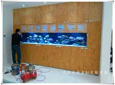 海鮮魚缸過濾系統設計的基本步驟和步驟和所需材料：如何制作海鮮魚缸過濾系統