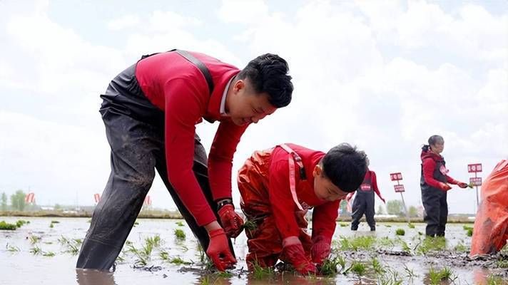 金龍魚基地 大罐子：金龍魚基地大罐子是什么？
