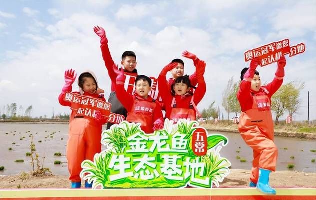金龍魚基地 大罐子：金龍魚基地大罐子是什么？