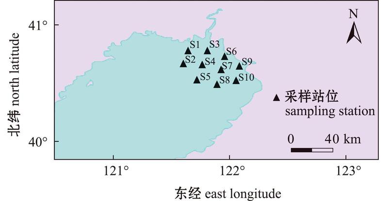 eDNA技術(shù)如何檢測金龍魚血統(tǒng)？