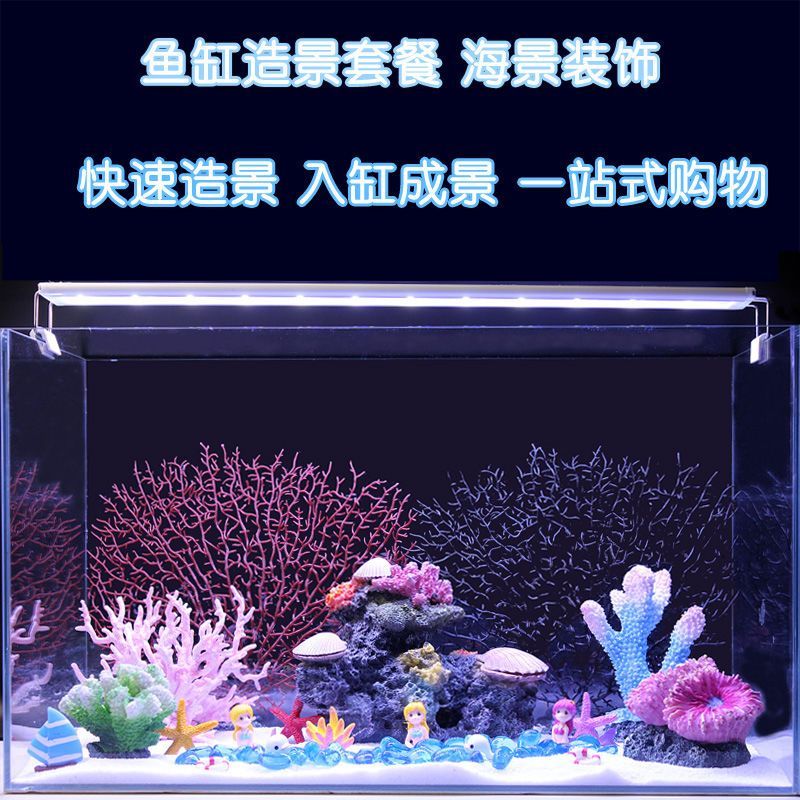 生態魚缸與海景魚缸的區別:海景魚缸與生態魚缸的養護技巧養護技巧養護生態魚缸 魚缸百科 第4張 生態魚缸與海景魚缸的區別:海景魚缸與生態魚缸的養護技巧養護技巧養護生態魚缸 生態魚缸與海景魚缸的區別:海景魚缸與生態魚缸的養護技巧養護技巧養護生態魚缸 魚缸百科 第4張