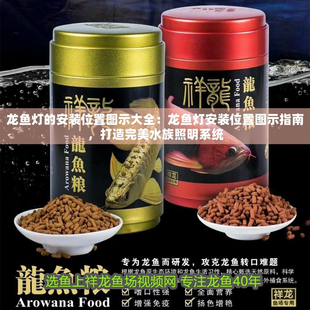 龍魚燈的安裝位置圖示大全：龍魚燈安裝位置圖示指南，打造完美水族照明系統