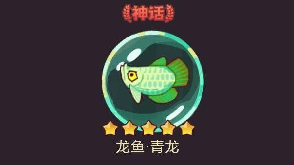 龍魚青龍升星（游戲論壇升星攻略匯總龍魚青龍升星效果展示）
