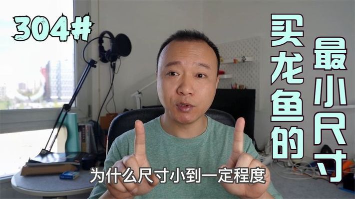 龍魚最小多大可以入手：龍魚最小多大可以入手，新手養龍魚常見問題
