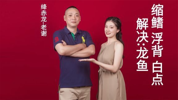 龍魚疾病的預防和治療圖解大全視頻：如何有效的預防和治療龍魚疾病