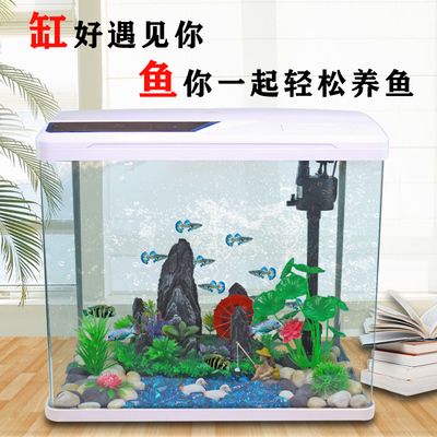 桌上魚(yú)缸造景，桌上魚(yú)缸造景技巧魚(yú)缸維護(hù)常見(jiàn)問(wèn)題水陸兩棲缸設(shè)計(jì)要點(diǎn)
