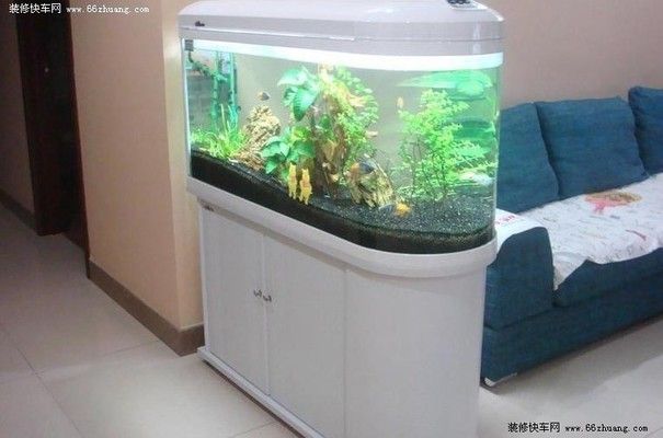 柜臺(tái)下面放魚(yú)缸在風(fēng)水學(xué)上有哪些講究？：家居風(fēng)水中的禁忌與破解