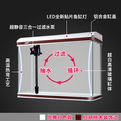 佳寶魚缸燈怎么不亮：佳寶水族箱led燈不亮怎么辦 佳寶魚缸燈怎么不亮：佳寶水族箱led燈不亮怎么辦 魚缸百科 第5張