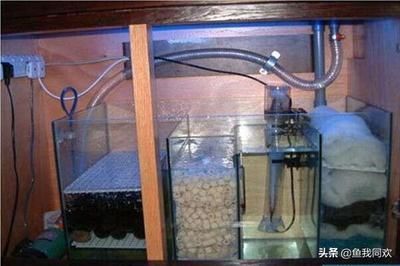 底濾魚缸水流量調節方法：底濾魚缸下水聲音大怎么調節底濾魚缸下水聲音大怎么辦