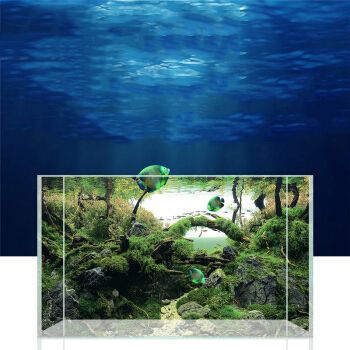 龍魚缸背景圖案大全（龍魚缸背景圖案大全龍魚缸背景圖案大全）