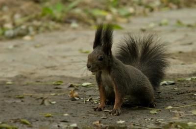 被龍魚咬了出血了怎么辦：被龍魚咬傷并出血了怎么辦