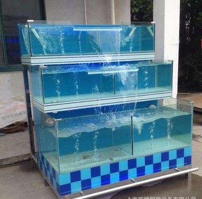 海鮮魚缸養(yǎng)殖視頻：關(guān)于海鮮魚缸養(yǎng)殖的視頻