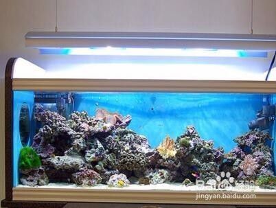 魚缸清潭怎么處理干凈：魚缸清潭的處理方法