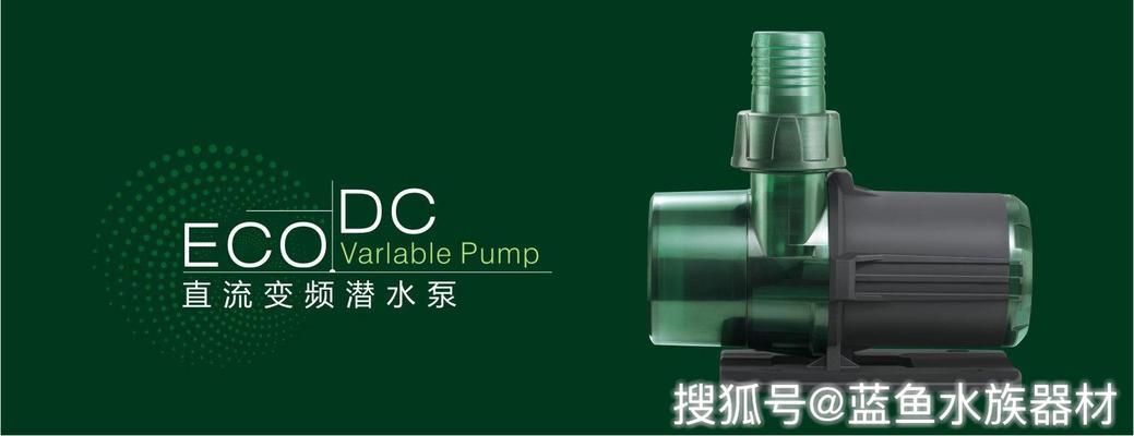 魚缸水泵分幾種類型：魚缸水泵選型指南