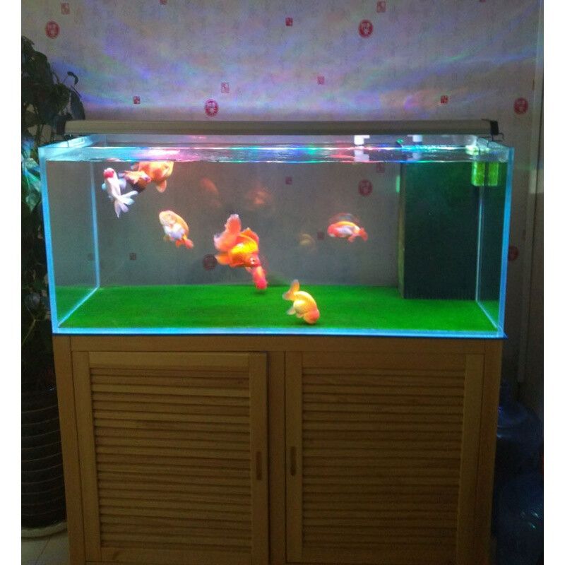 紅色魚(yú)缸燈會(huì)爆藻嗎為什么（關(guān)于魚(yú)缸爆藻的問(wèn)題）