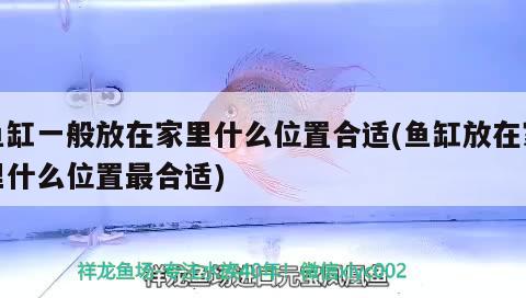 安徽洋洋漁業科技有限公司（安徽洋洋漁業科技有限公司招聘）