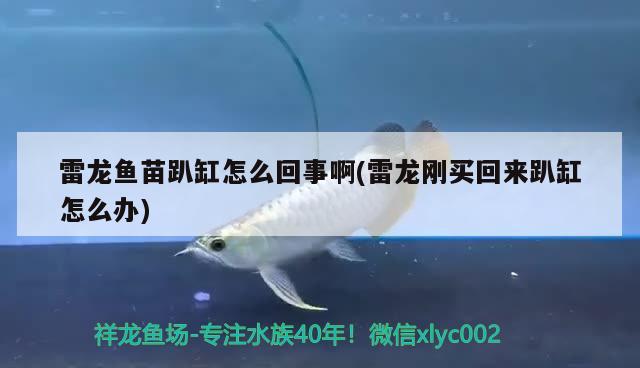 安徽洋洋漁業科技有限公司（安徽洋洋漁業科技有限公司招聘）