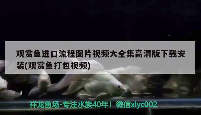 烏魯木齊高新技術產業開發區金龍龍翔魚具水族店