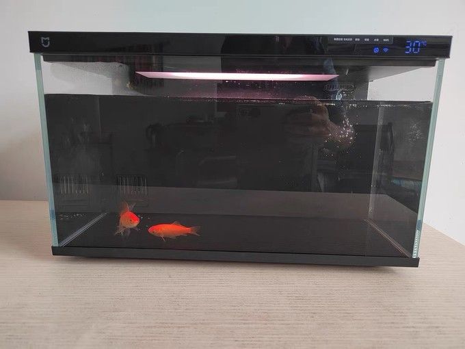 小米魚缸過濾改造：小米魚缸過濾器改造方案