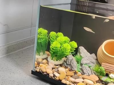 小米魚缸過濾改造：小米魚缸過濾器改造方案