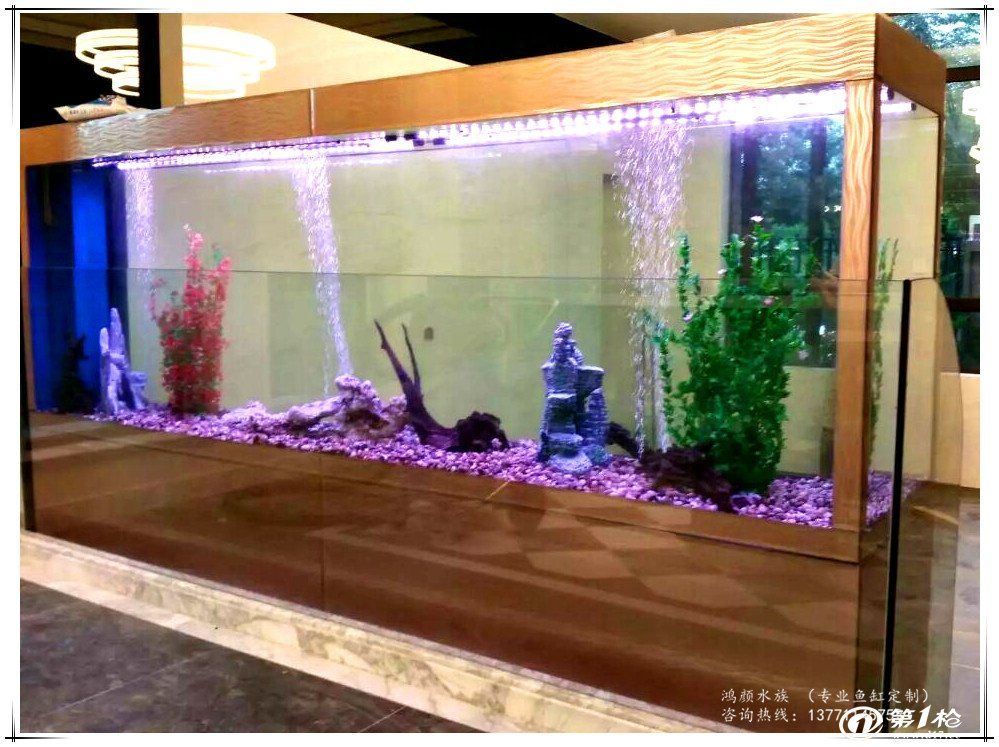 什么叫龍魚缸造景：龍魚缸造景是什么