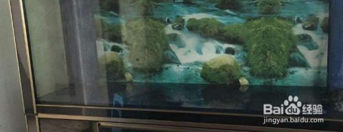 森森魚(yú)缸底濾聲音大怎么解決（森森魚(yú)缸底濾聲音大怎么辦）