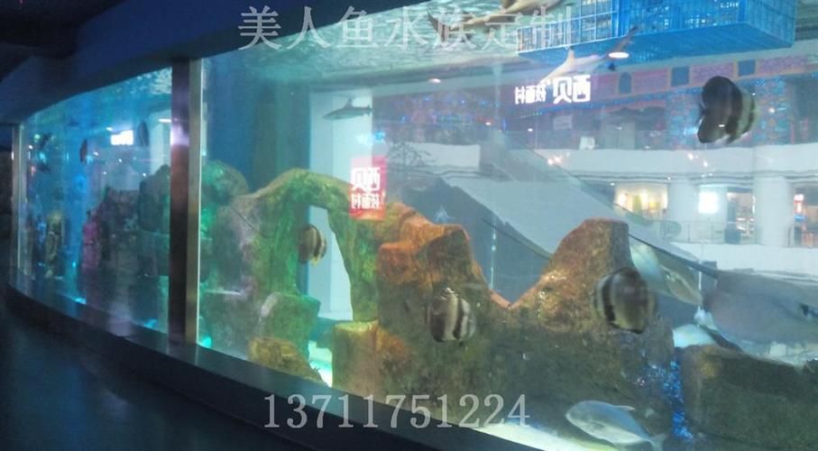 廣州水族文化探秘廣州水族文化探秘水族文化探秘：如何打造個性化魚缸造景