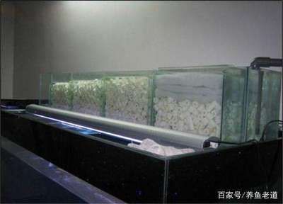 魚缸水質維護的其他指標：魚缸水質維護中的重要指標