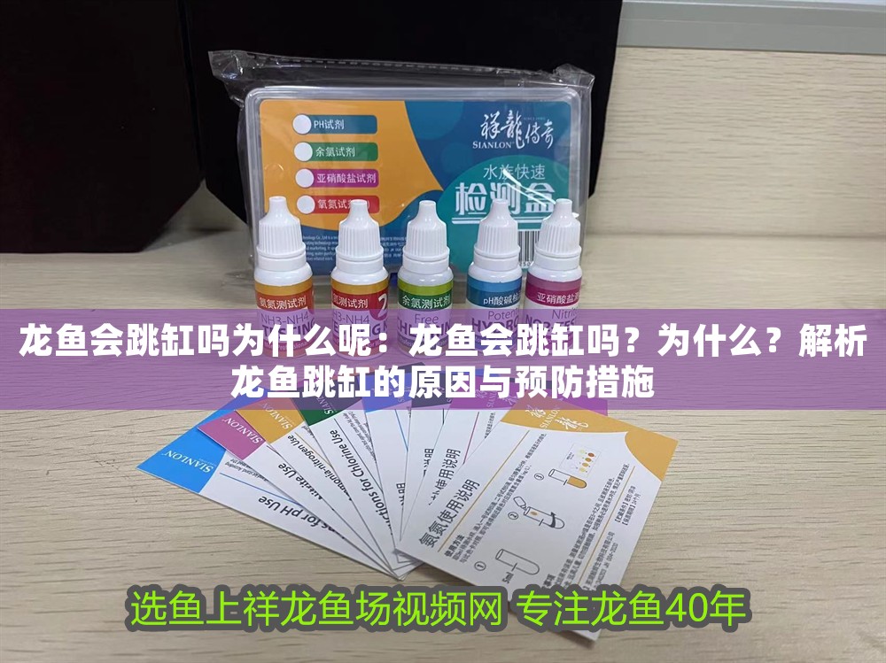 龍魚會跳缸嗎為什么呢：龍魚會跳缸嗎？為什么？解析龍魚跳缸的原因與預防措施