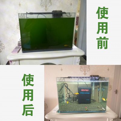 龍魚會跳缸嗎為什么呢：龍魚會跳缸嗎？為什么？解析龍魚跳缸的原因與預防措施