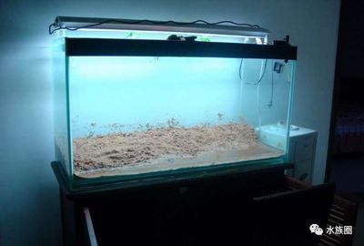 魚缸水質管理有效方法：有效的魚缸水質管理方法